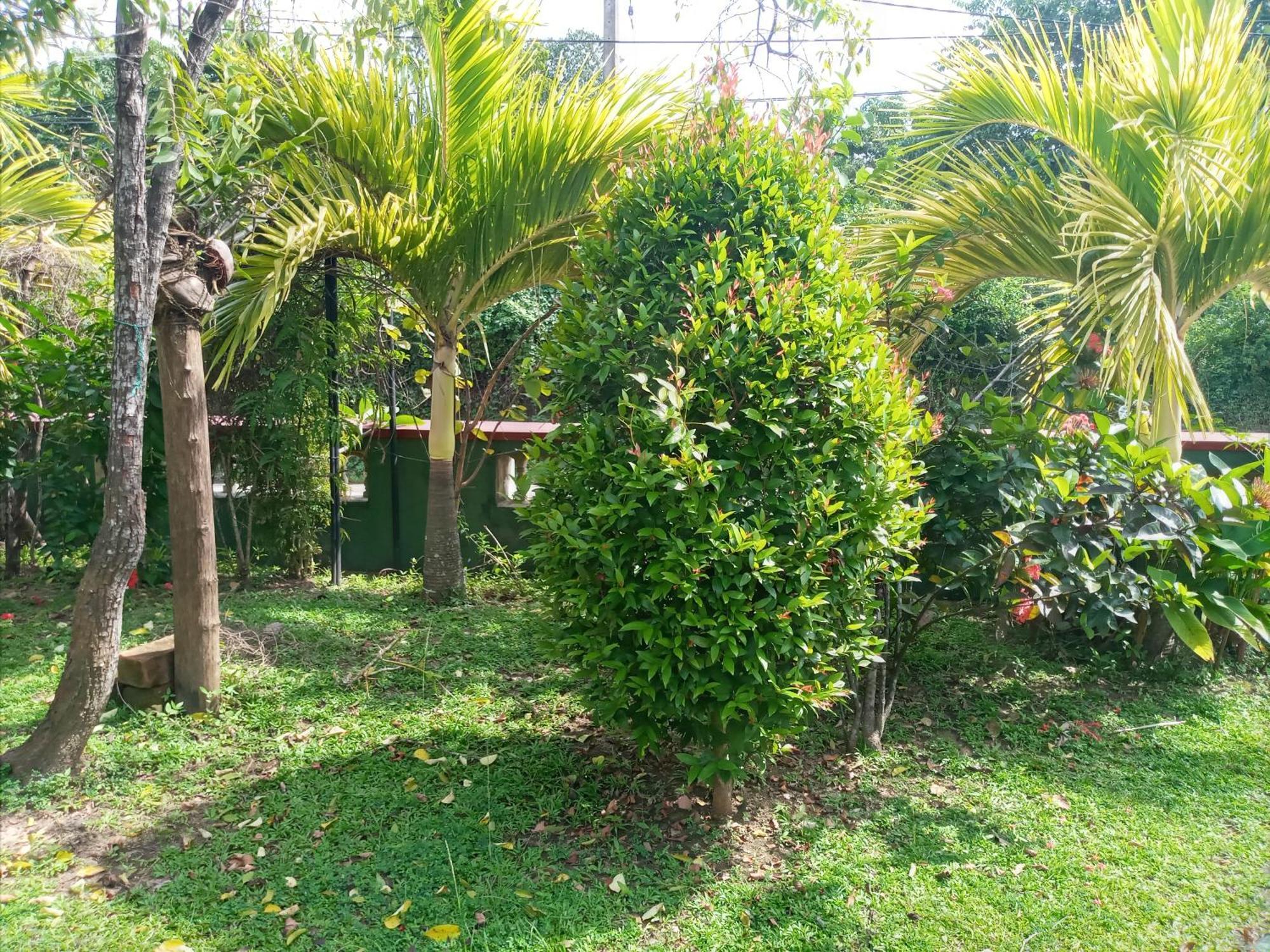 Sunny Side Villa Tangalle Zewnętrze zdjęcie